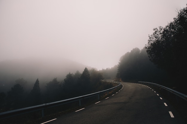 Foggy curvy road landscape in the mountain