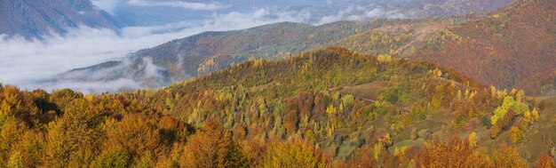 Foggy early morning autumn mountains scene Peaceful picturesque traveling seasonal nature and countryside beauty concept scene Carpathian Mountains Ukraine