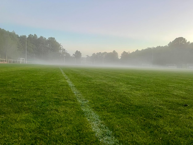 A foggy football field Low angle of the green grass of a football field Concept of a sports field