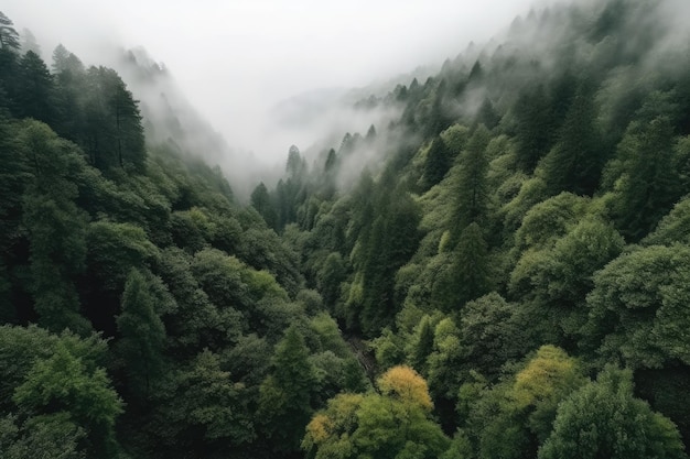 A foggy forest with a forest in the foreground and a tree in the foreground Generative AI