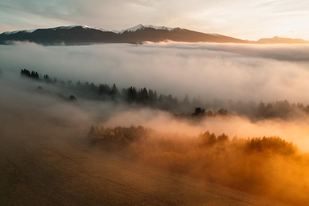 Foggy forest with sun rays Top view from drone of mountain valley in low clouds Aerial view of mountain peak with green trees in fog