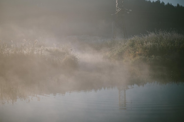 Photo a foggy lake with a wooden pole in the foreground and a tree in the background.