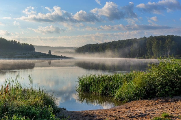 Photo foggy lakeside at summer sunrise with tall grass