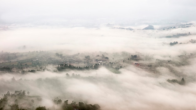 Foggy landscape located in Bandung, Indonesia