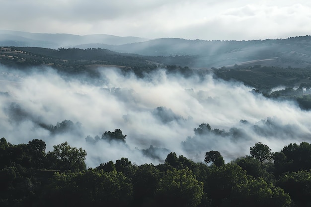 Photo a foggy landscape with trees and a forest in the background