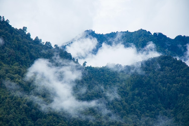 Foggy and Moody Green Forest of Bajhang Bajura Nepal