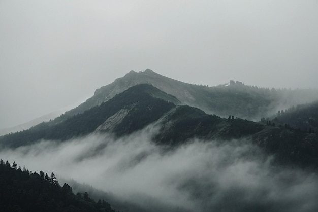 Photo foggy morning in the carpathian mountains ukraine europe