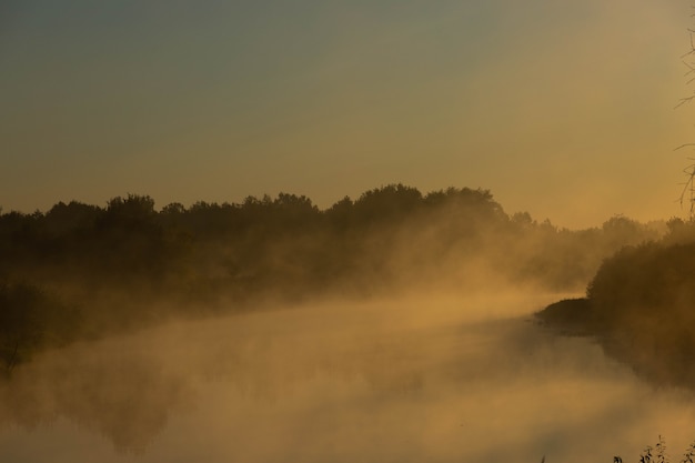 Photo foggy morning on a european river with fresh green grass in the sun. the rays of the sun through the tree.