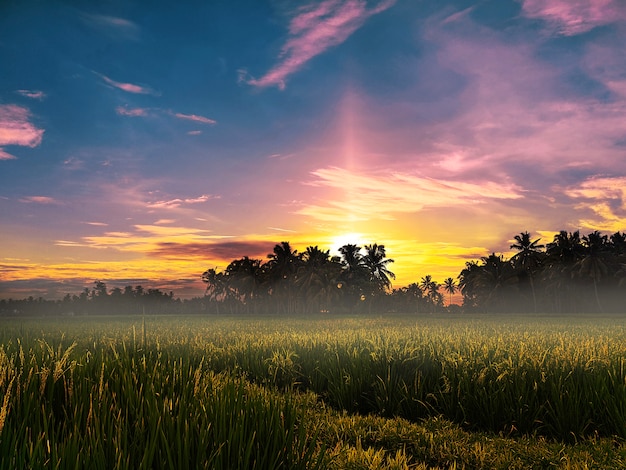 Foggy morning landscape with glowing sky