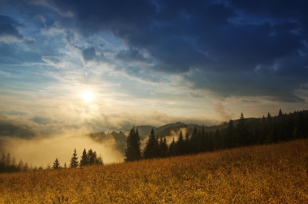 Foggy morning landscape