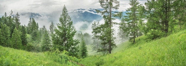 Foggy morning in the mountains cloudy weather summer travel panoramic