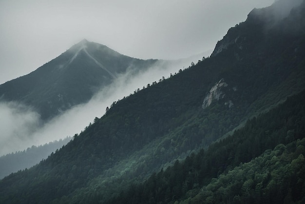 Photo foggy morning in the mountains landscape with fog in the mountains