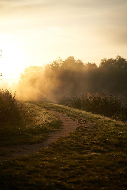 Foggy morning pathway Concept of early summer morning in the countryside