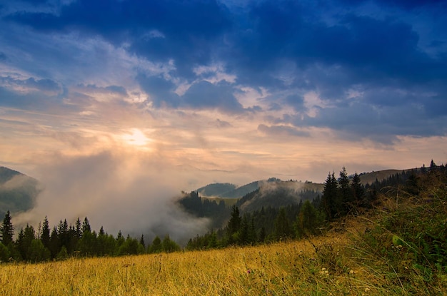 Foggy morning shiny summer landscape with mist golden meadow and sun shining