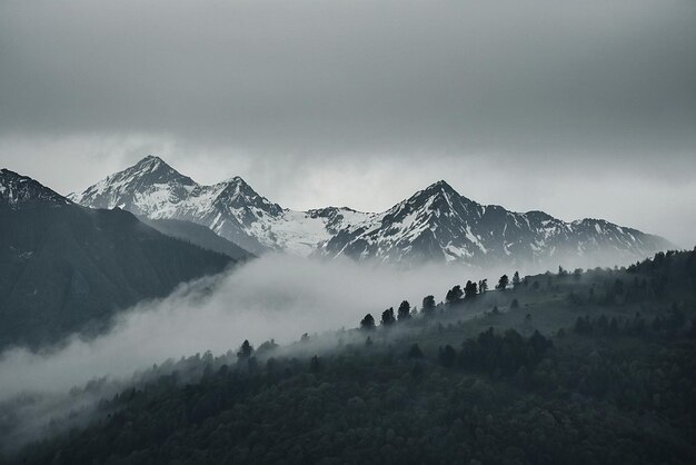 Photo foggy mountain landscape