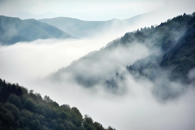 Foggy mountains in the smoky mountains