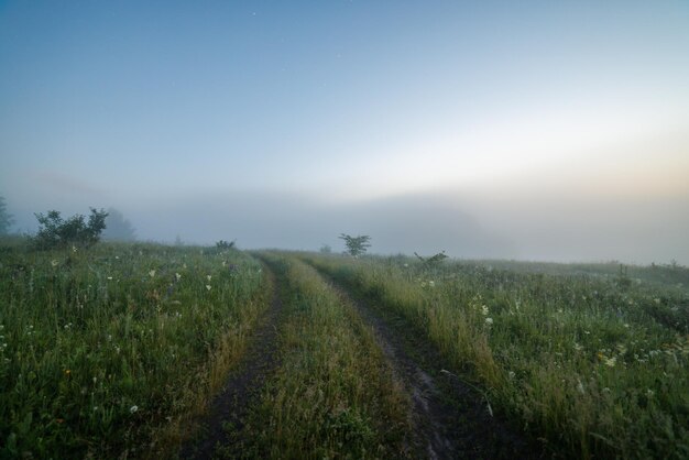 Foggy summer morning landscape with dirt road and short visibility