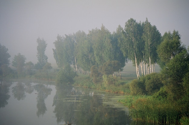 Foggy sunrise over the lake