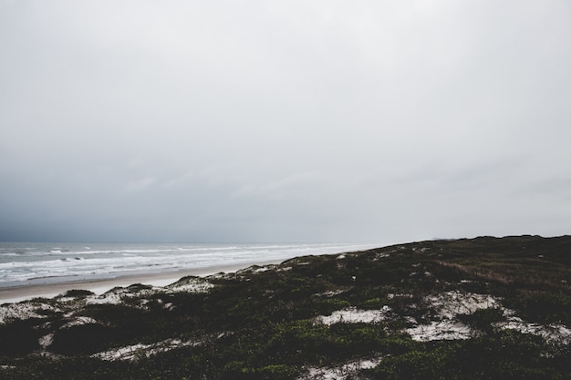 Fogy Day at the Beach 