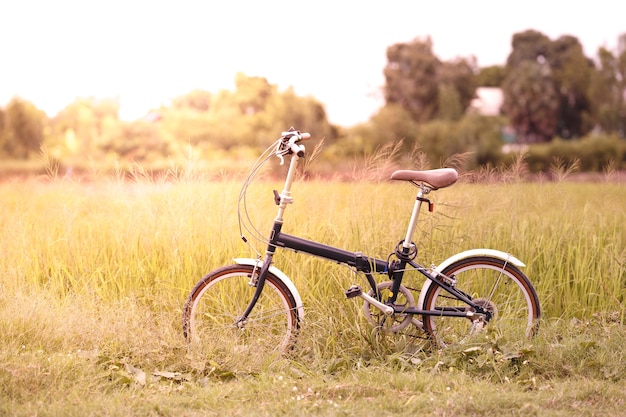 Folding bicycle in grass field