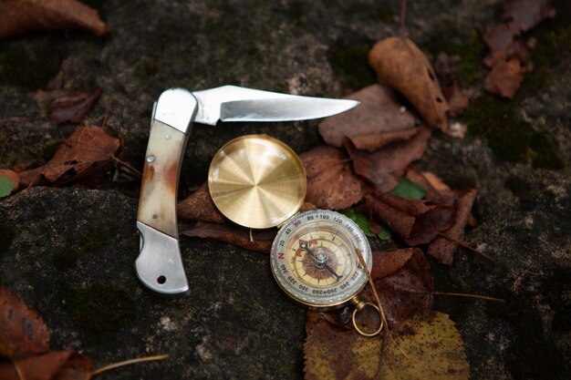 Photo folding knife, leaves and compass