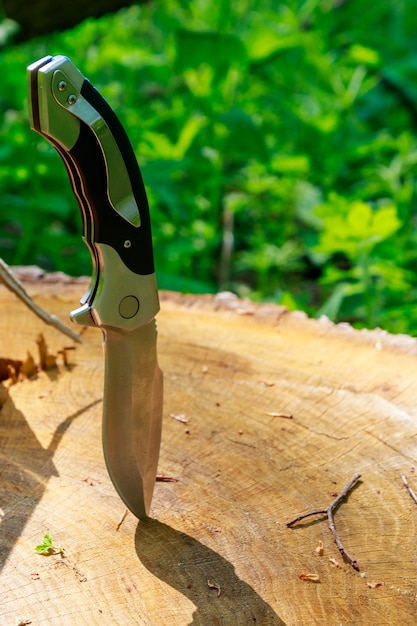 Folding knife sticking out of a wooden stump in green forest