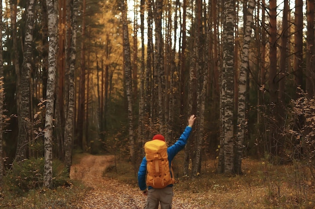 follow me on a hike, a man invites you to a forest hike, autumn landscape in the forest in nature