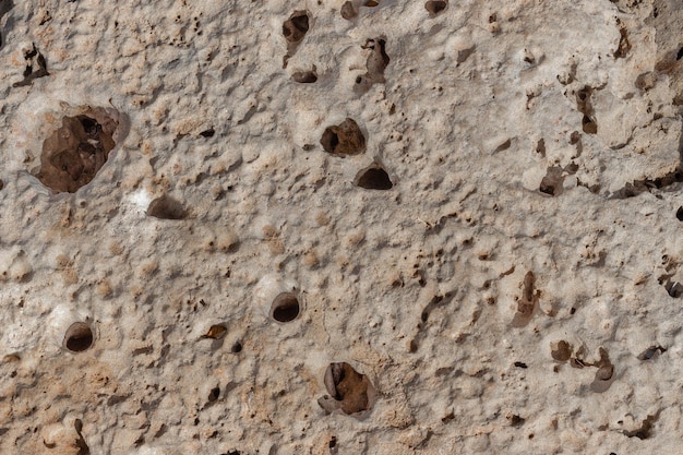 Fondo con textura y agujeros en roca que imita a la superficie de la luna