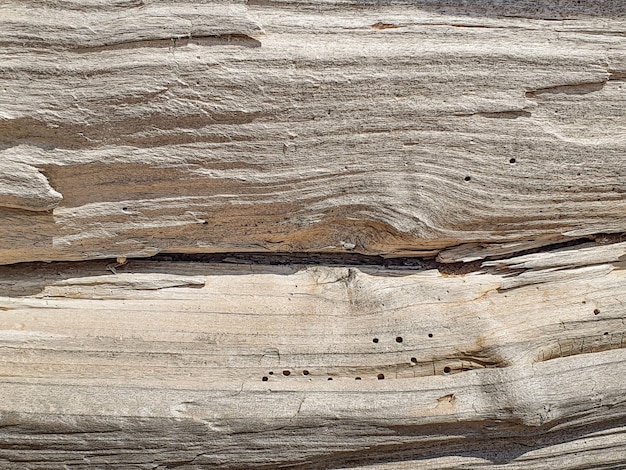 Fondo de madera vieja con carcoma y textura