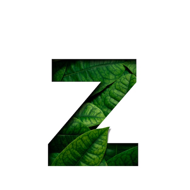 Font leafs z made of Real alive leafs with Precious paper cut shape.