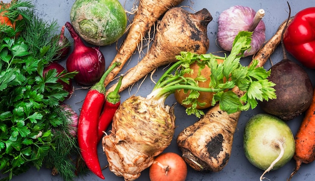 Food background with vegetables root crops and herbs celery carrots radish onoin Harvesting local farm market shopping healthy eating concept Top view