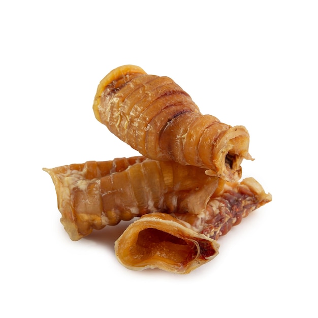 Food for dogs - dried beef offal (trachea) isolated on white background. Natural chewing treats.