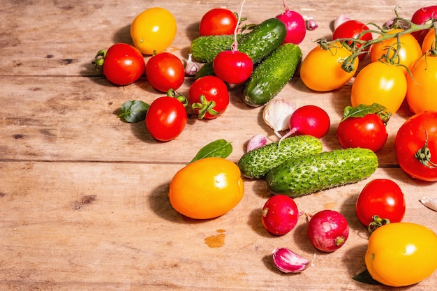 Food, harvesting, summer concept. Assortment of ripe organic farmer red and yellow tomatoes, cucumbers, radish, garlic, and fresh basil leaves. Old wooden table, place for text