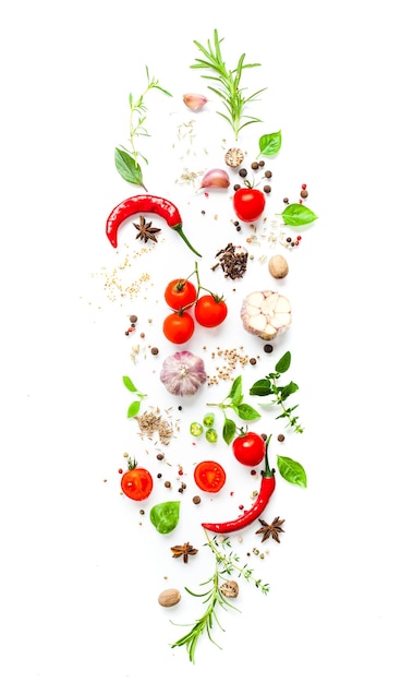 Food instalation with herbs and spices on white background, top view of italian cuisine