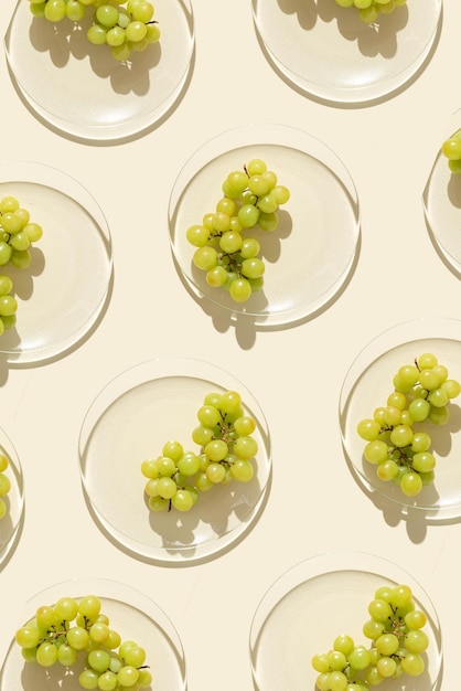 Food pattern from bunch white grapes on glass plate with at sunlight minimal style