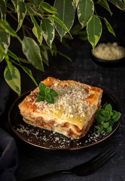 Food photography of lasagna with cheese and oregano