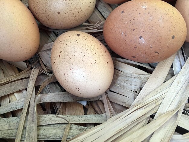 Food Protein Organic Chicken Raw Eggs Photo