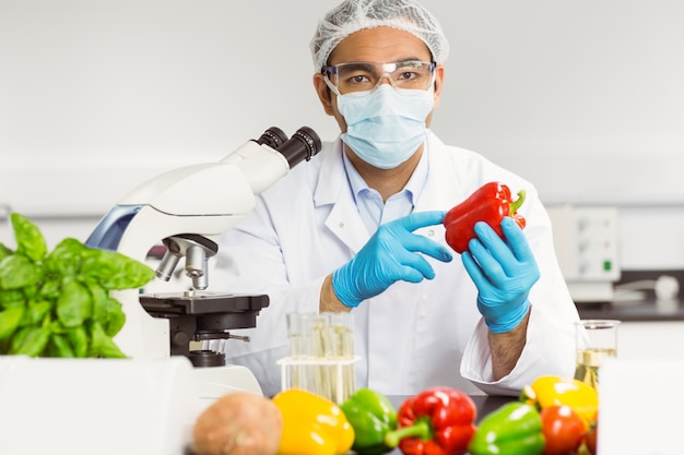 Food scientist examining a pepper