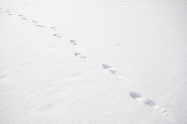 Foot steps on snow ground