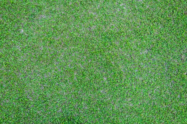 Football field green grass pattern textured background textured grass for background