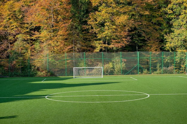 Football goalootball field