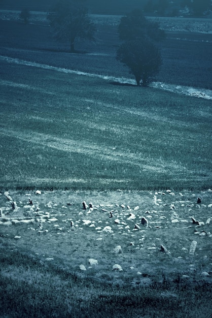 Foothills Plain with trees at dusk