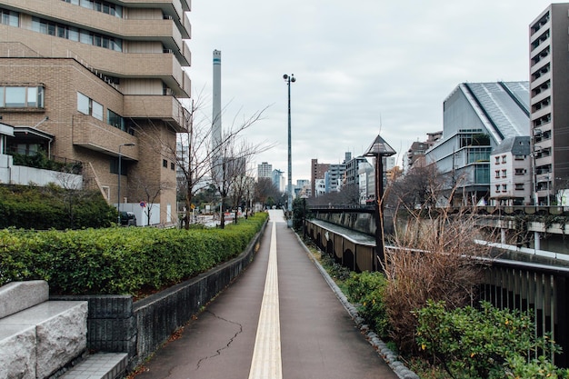 Footpath amidst buildings against sky