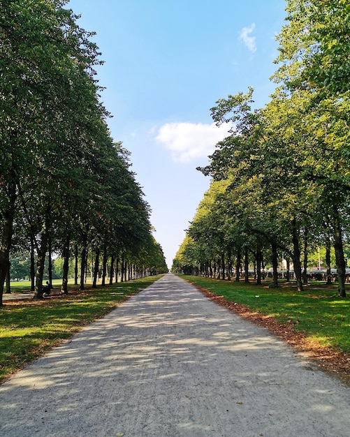 Photo footpath amidst trees against sky