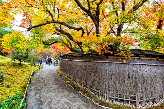 Footpath amidst trees in park during autumn