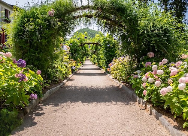 Footpath under a beautiful arch of flowers and plants