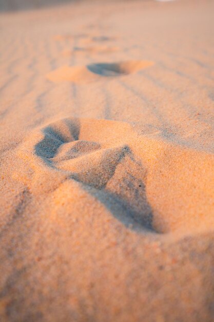 Photo footpath in the sand