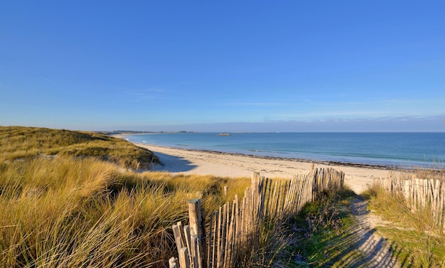 Footpath in the sandy and grassy dunes bordered by wooden fence by the seain Brittany France