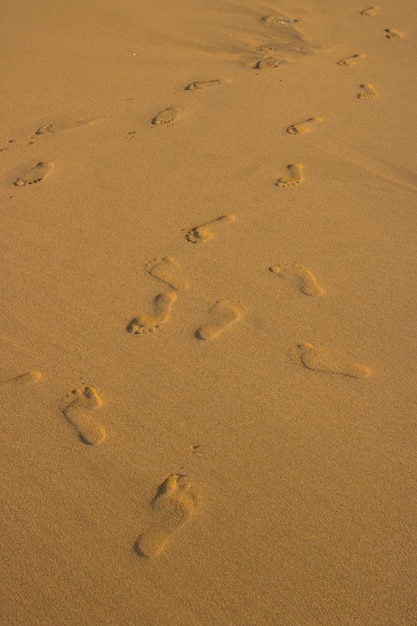 Footprint on beach sand