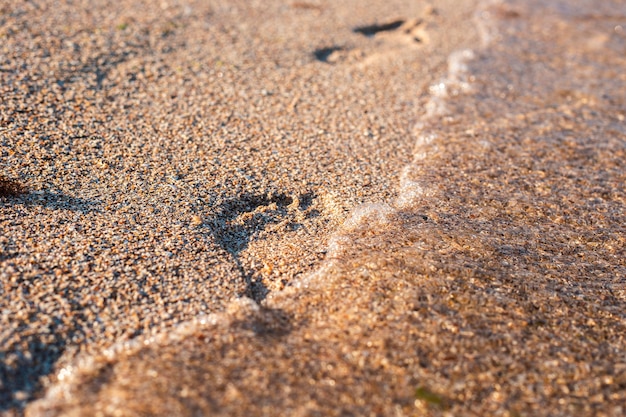 Footprint on the sandy beach is washed by the wave.